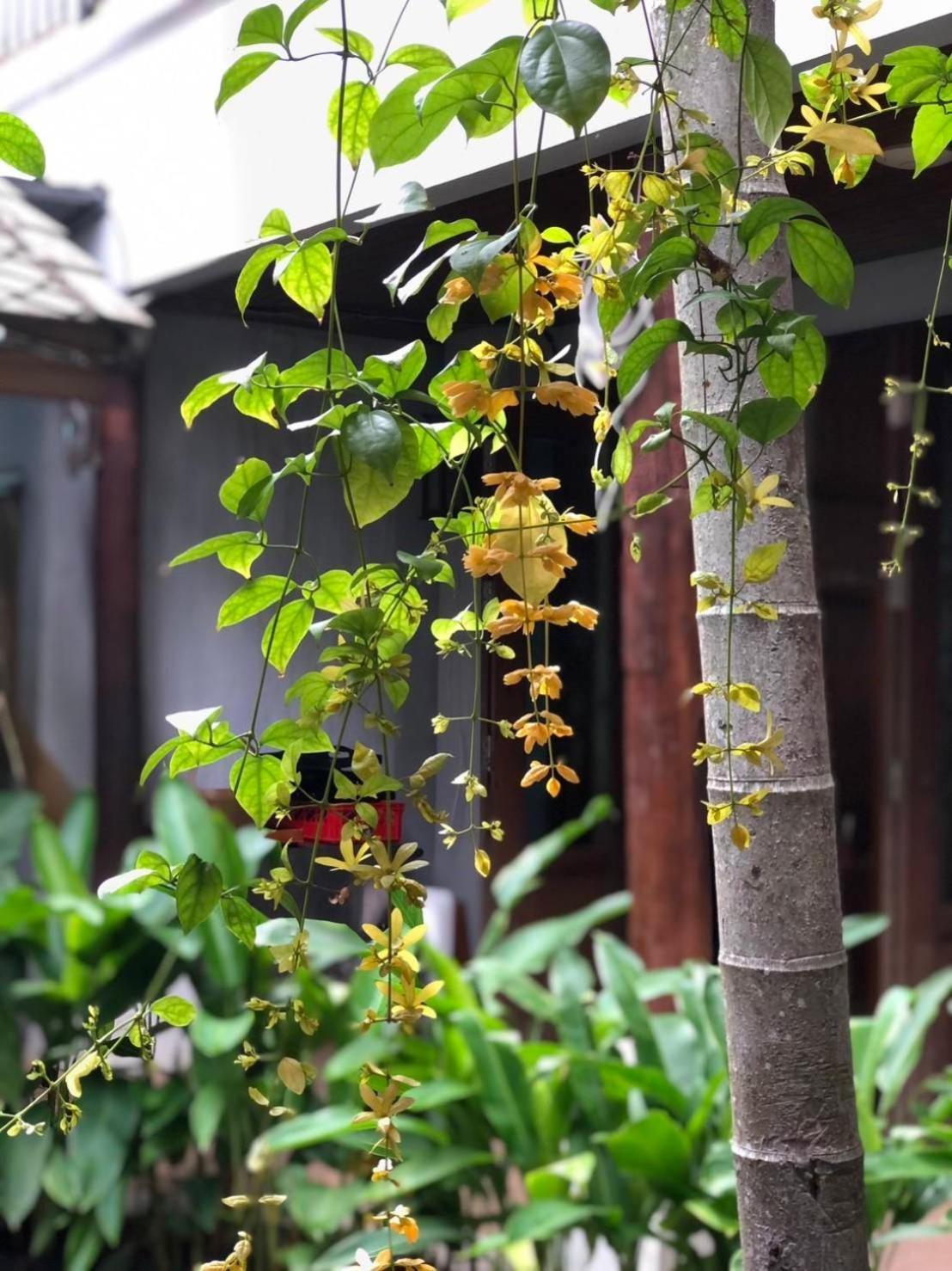 Khammon Lanna Resort Chiang Mai Buitenkant foto