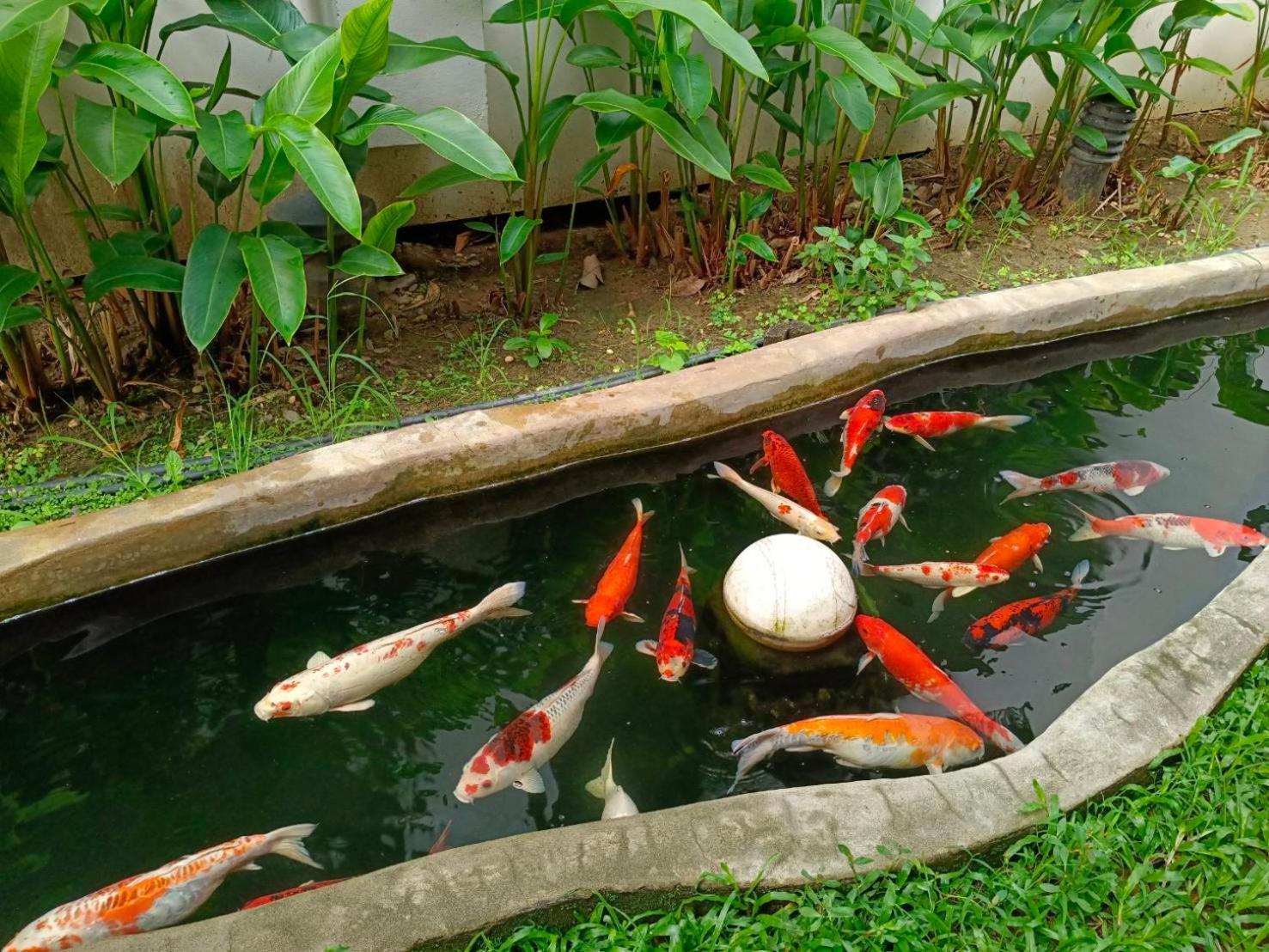 Khammon Lanna Resort Chiang Mai Buitenkant foto
